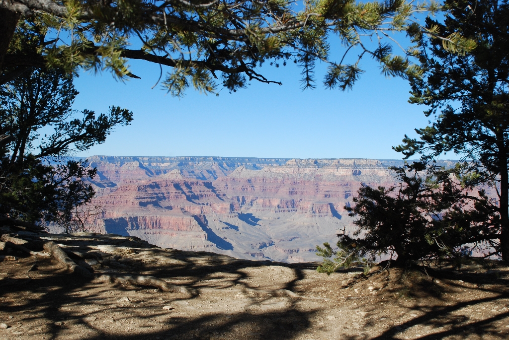 DSC_1927.JPG